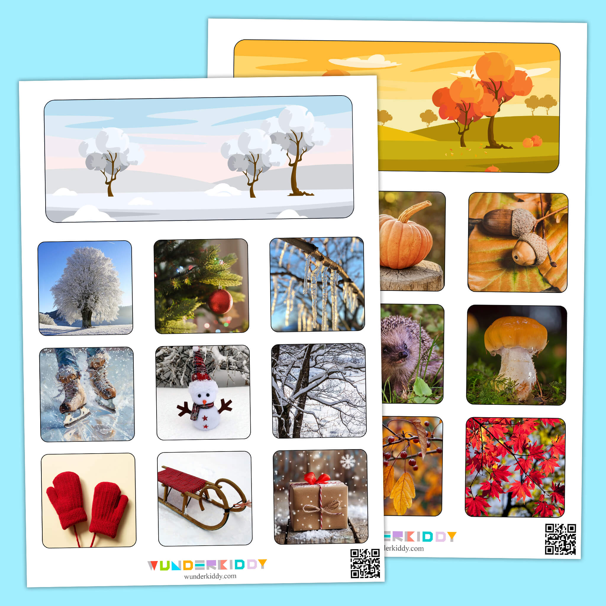 Autumn & Winter Seasons Activity