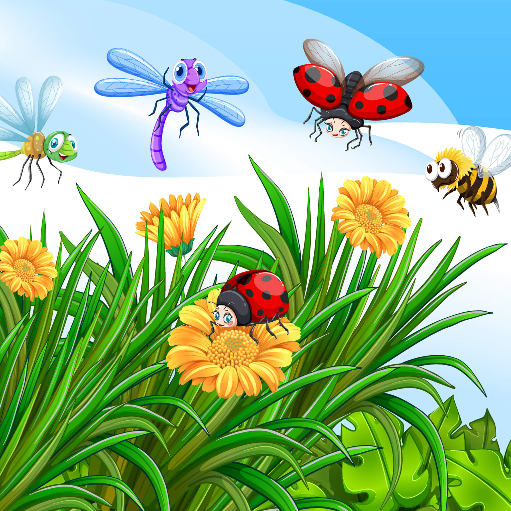 All worksheets from the category «Insects»