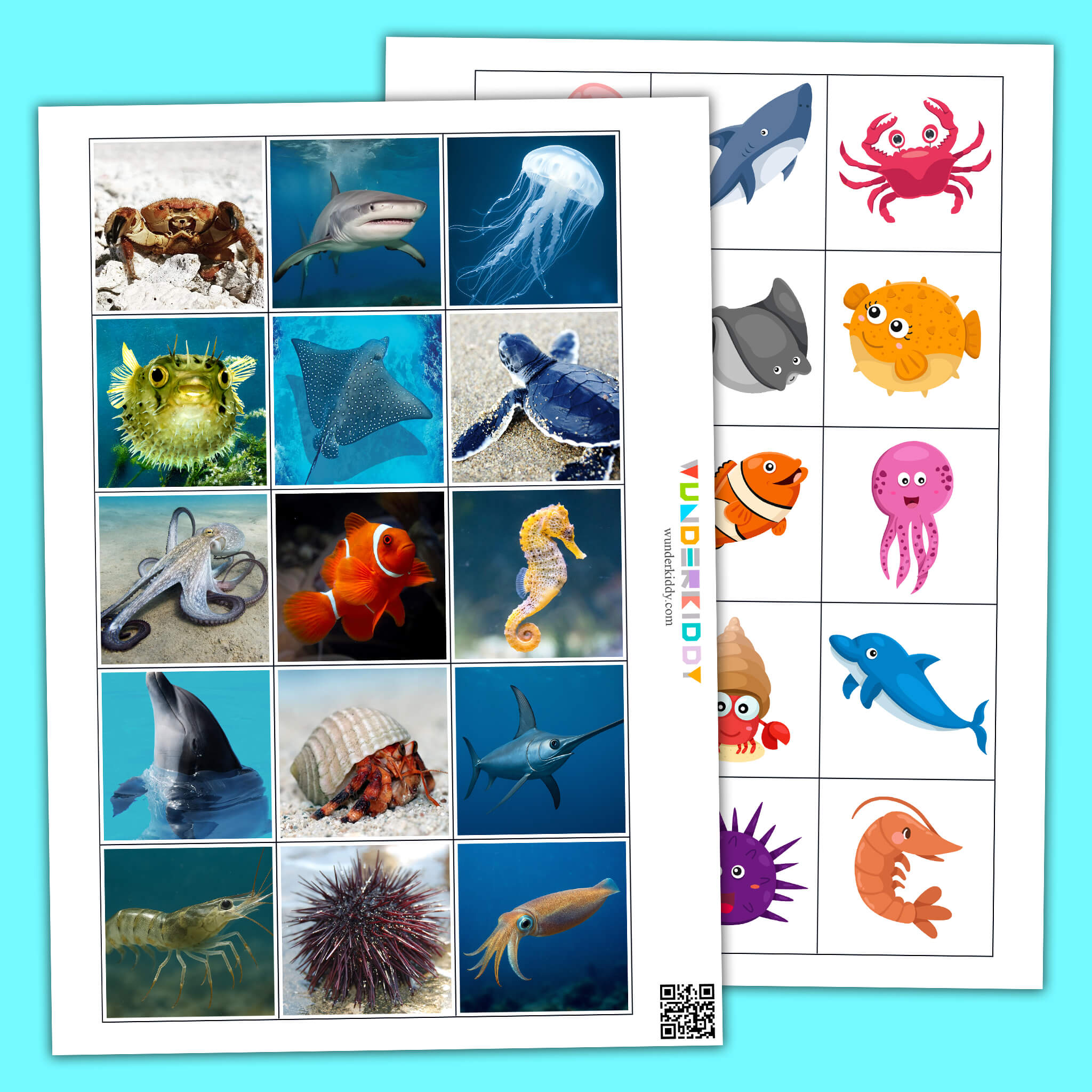 Real vs Cartoon Ocean Game