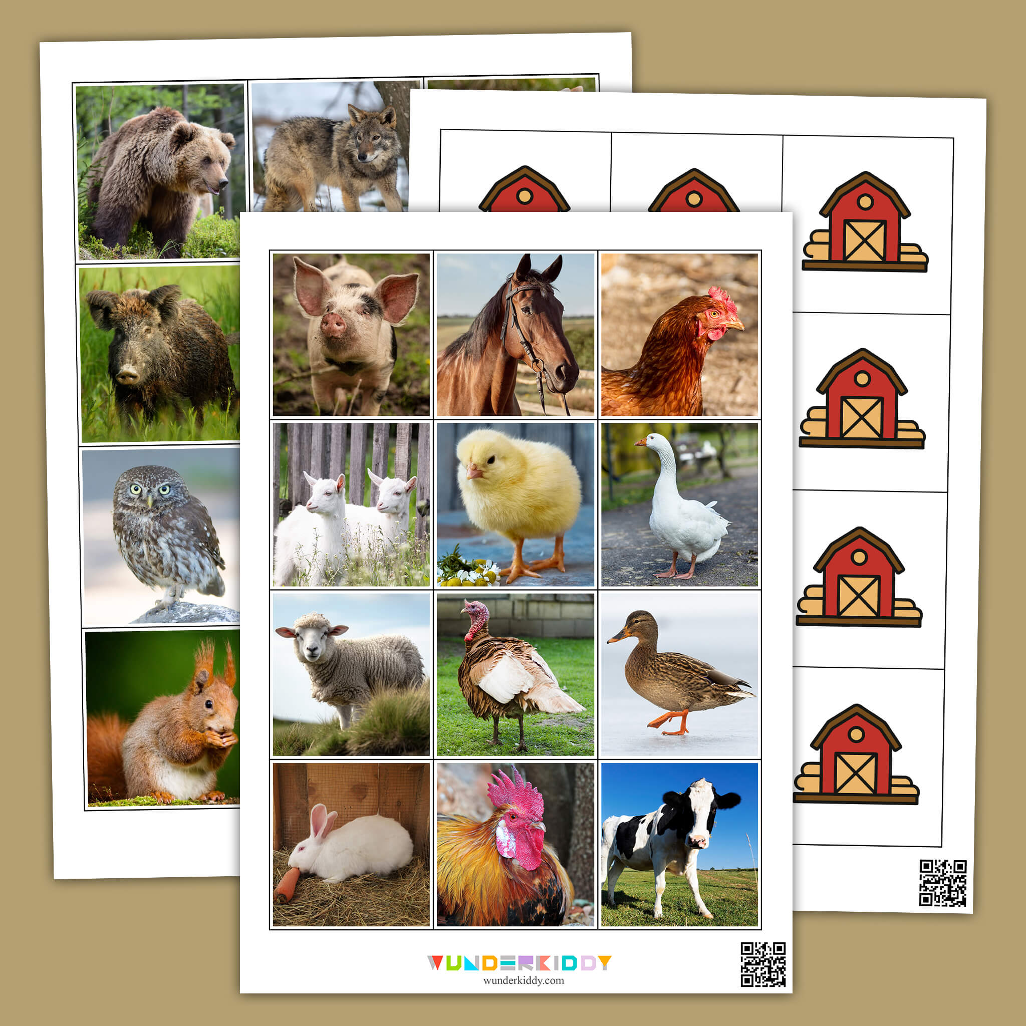 Printable Sorting: Wild or Domestic?